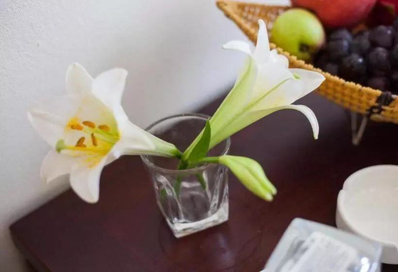 هتل Sapa Tulip
