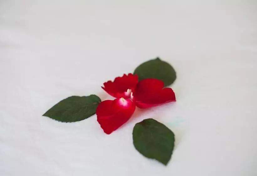 هتل Sapa Tulip