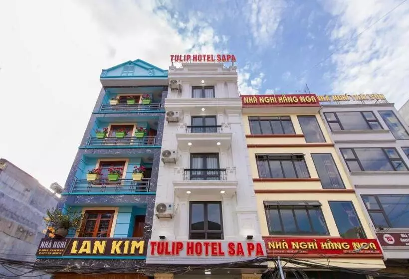 هتل Sapa Tulip