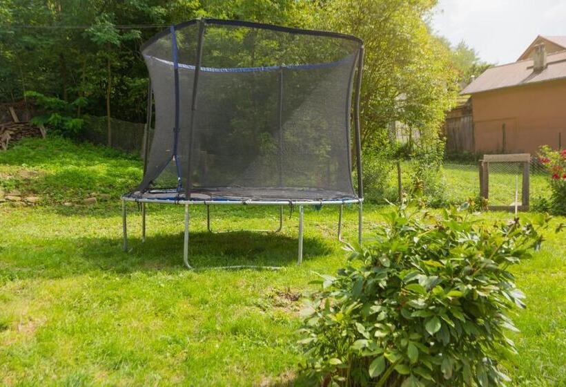 Pensión Cabana Beta