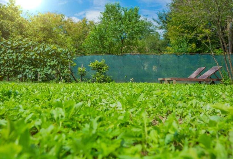 Pensión Cabana Beta