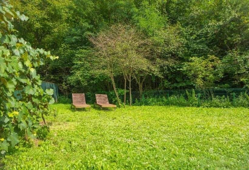 Pensión Cabana Beta