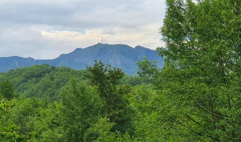 Pensión Cabana Beta