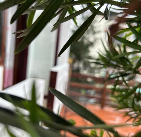 پانسیون Vang Anh Homestay Hoi An