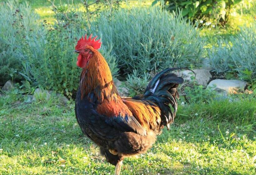 住宿加早餐  Bretagne Chambre D Hôtes Suite 53m2 Et Caravane Vintage Avec Cuisine Et Salle De Bains Privées Britt