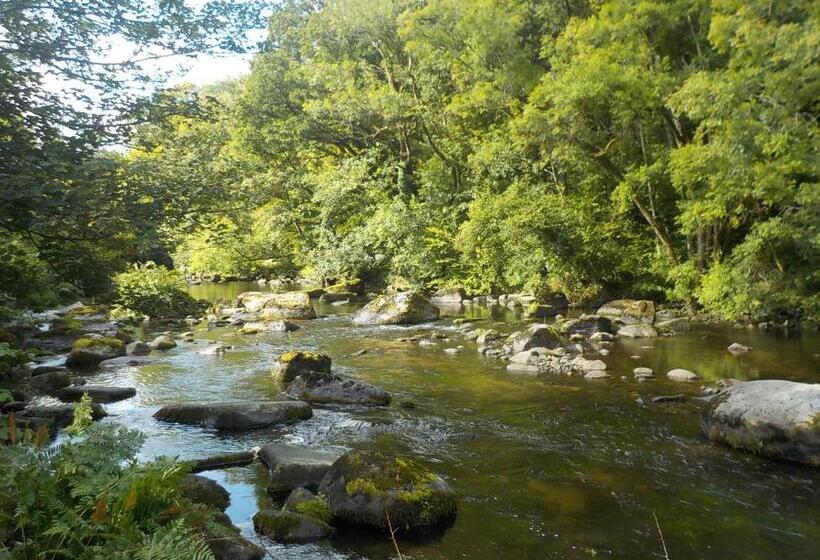 住宿加早餐  Bretagne Chambre D Hôtes Suite 53m2 Et Caravane Vintage Avec Cuisine Et Salle De Bains Privées Britt