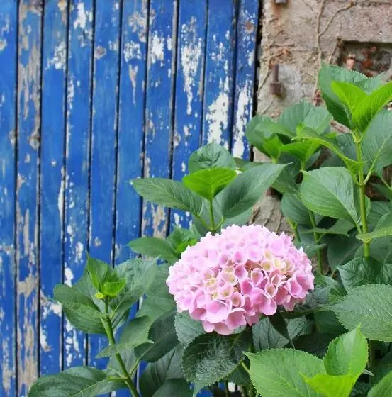 Aamiaismajoitus (B&B) Bretagne Chambre D Hôtes Suite 53m2 Et Caravane Vintage Avec Cuisine Et Salle De Bains Privées Britt