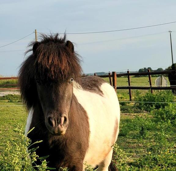 تختخواب و صبحانه La Cense Du Noir Jambon