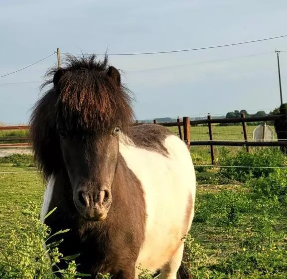 Aamiaismajoitus (B&B) La Cense Du Noir Jambon