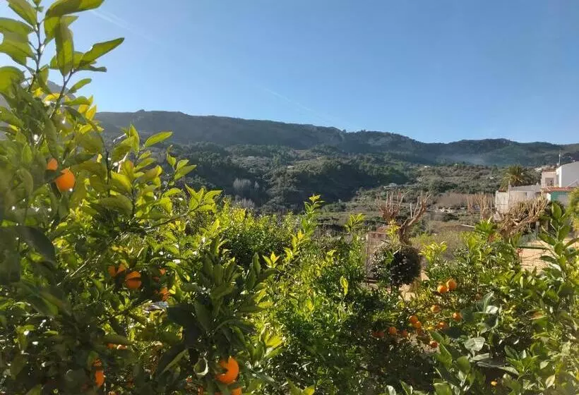 Les Penyetes Boutique Bed And Breakfast