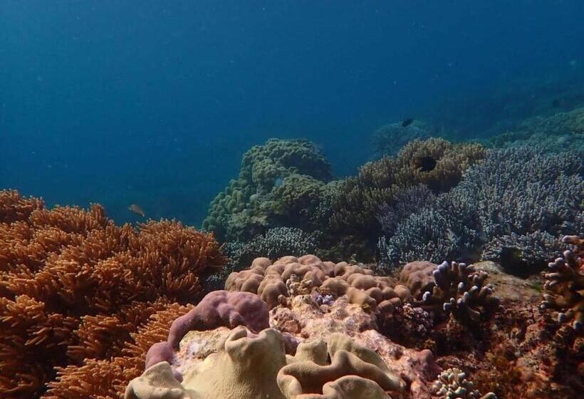 Пансион Ella S Beach House