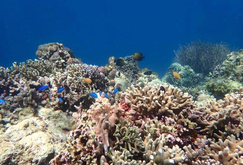 Пансион Ella S Beach House