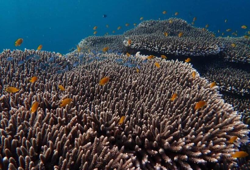 Пансион Ella S Beach House