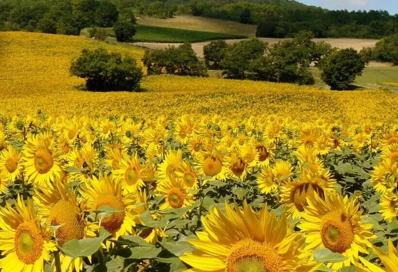 ベッドアンドブレックファースト Bastida De Beata