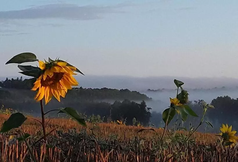 ベッドアンドブレックファースト Bastida De Beata