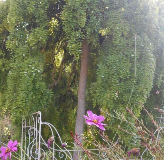 مبيت وإفطار Bastida De Beata