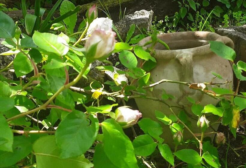 مبيت وإفطار Bastida De Beata