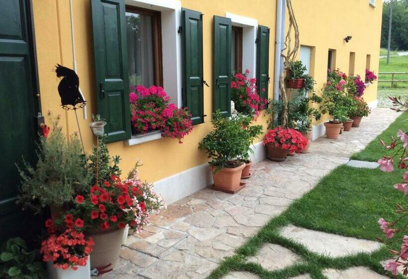 Nocleg ze śniadaniem Casa Edith