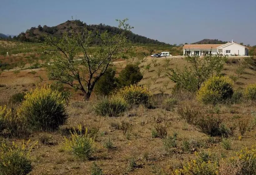 ベッドアンドブレックファースト Casa Lamberdina