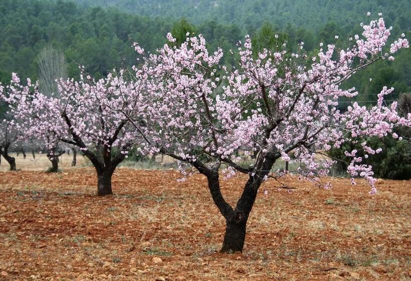 مبيت وإفطار Casa Lamberdina