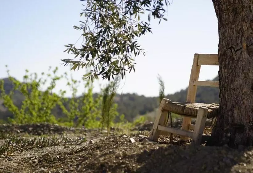 ベッドアンドブレックファースト Casa Lamberdina