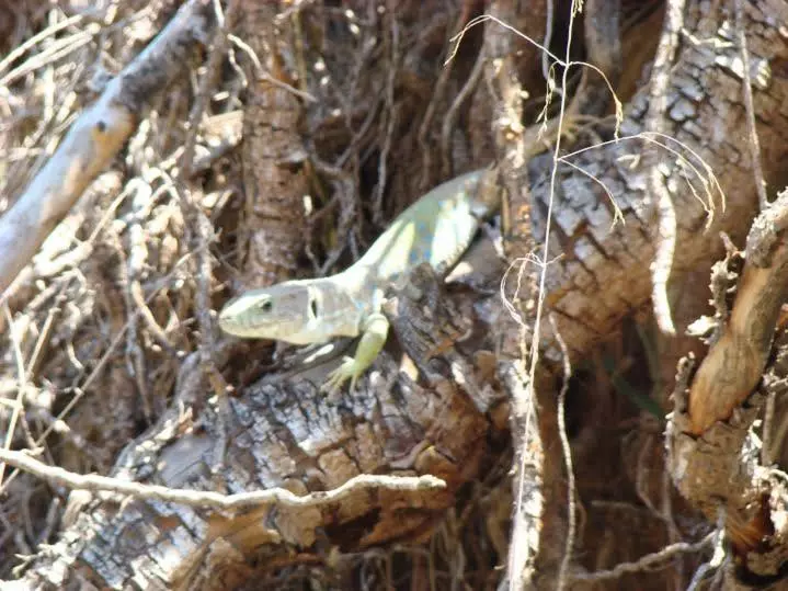 ベッドアンドブレックファースト Casa Lamberdina