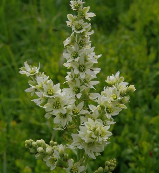 Bed and Breakfast Chambre D Hotes Grange De La Bastide