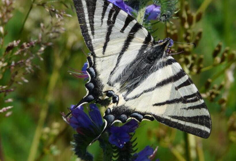 Bed and Breakfast Chambre D Hotes Grange De La Bastide