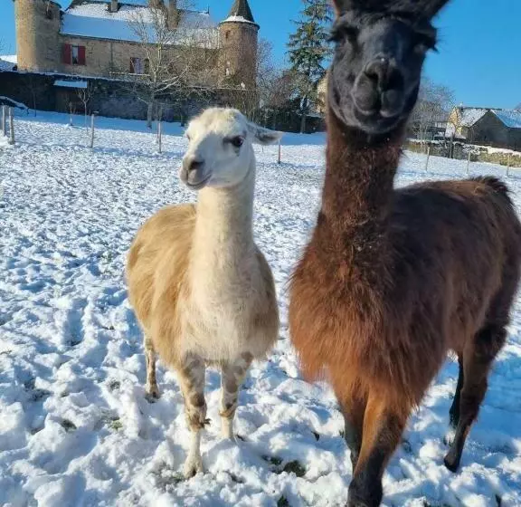 Aamiaismajoitus (B&B) Chateau De Cadars