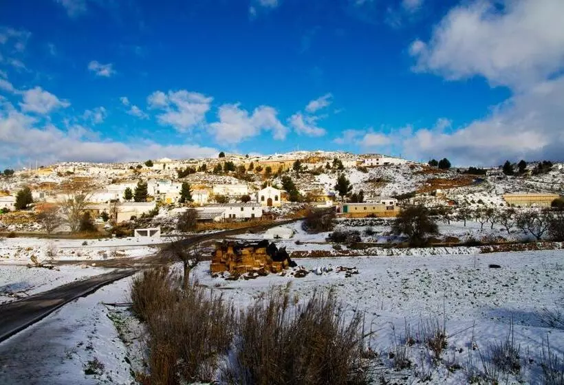 Aamiaismajoitus (B&B) Cueva Pura Vida