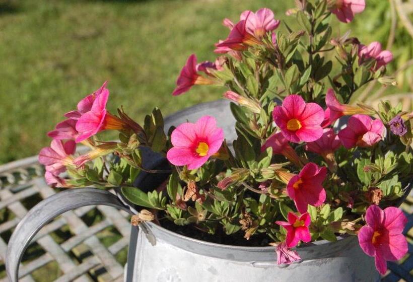 مبيت وإفطار La Chaiserie