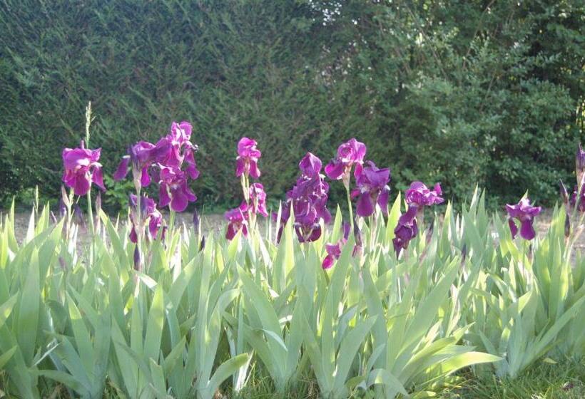 مبيت وإفطار La Chaiserie