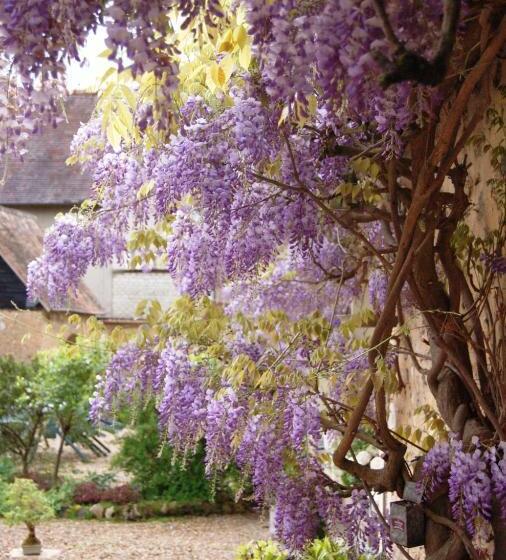 مبيت وإفطار La Chaiserie