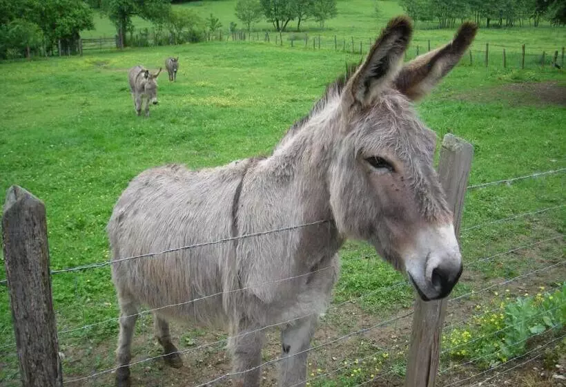 ベッドアンドブレックファースト La Source D Argammet