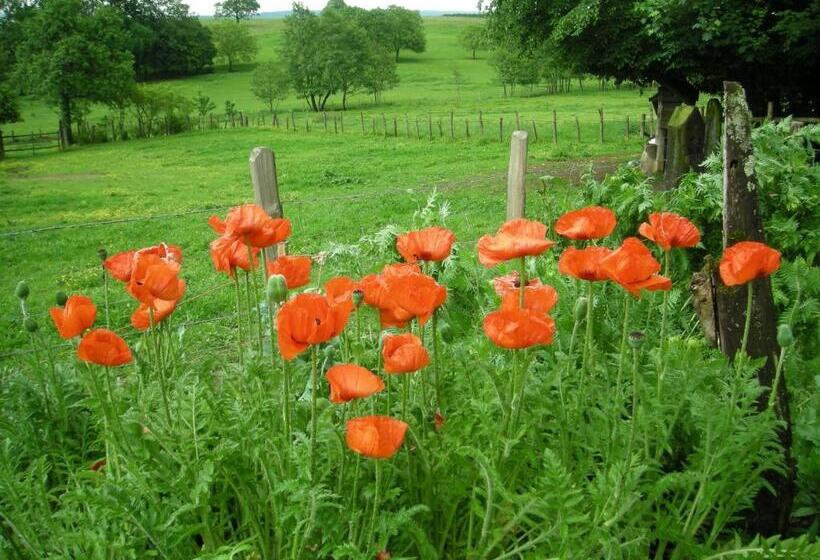 Bed and Breakfast La Source D Argammet