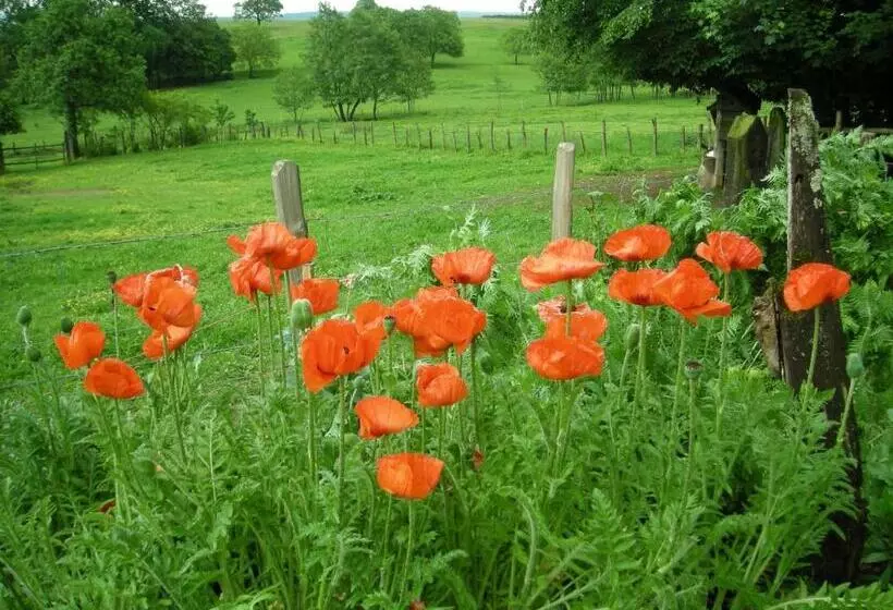 ベッドアンドブレックファースト La Source D Argammet