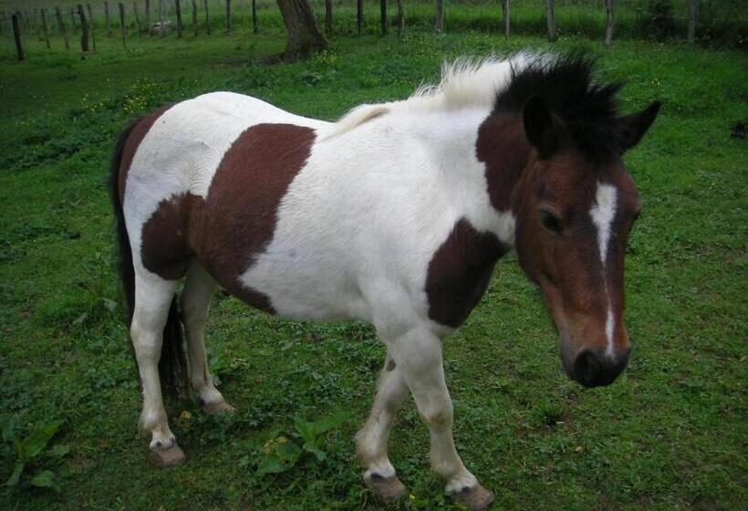 Bed and Breakfast La Source D Argammet