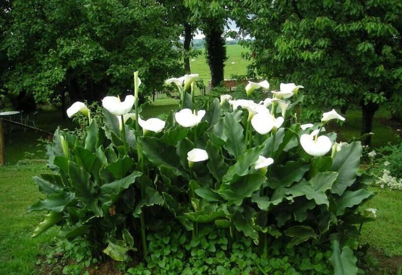 Bed and Breakfast La Source D Argammet