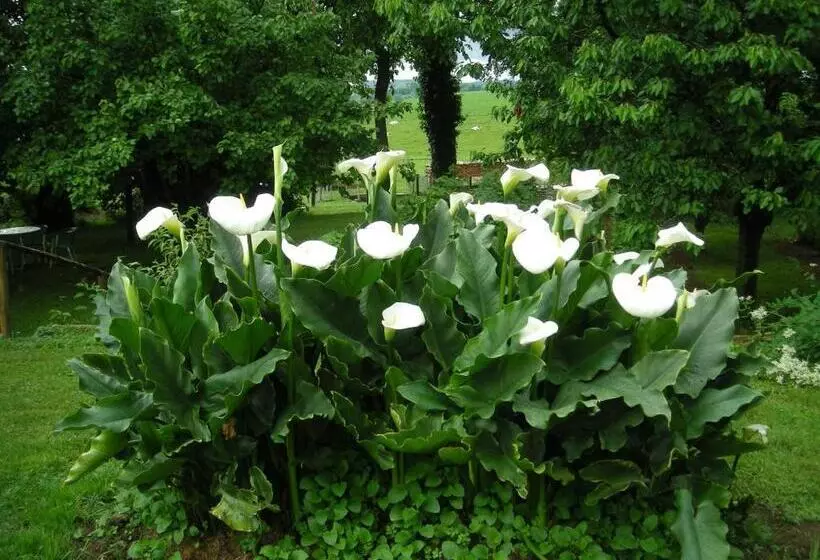 ベッドアンドブレックファースト La Source D Argammet