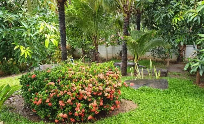 Aamiaismajoitus (B&B) Nuch S Apple Guest House