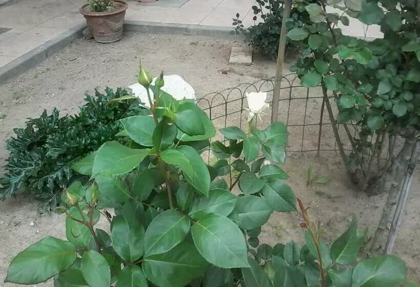 ベッドアンドブレックファースト Perbacco