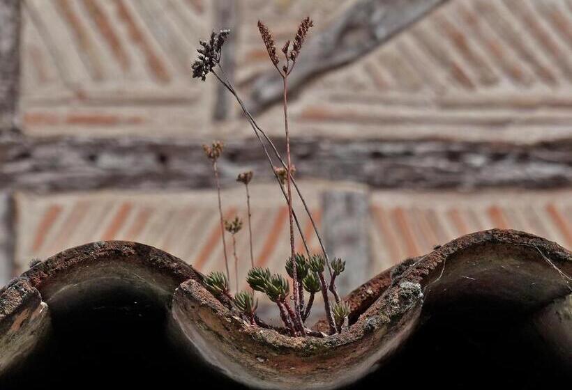 مبيت وإفطار Plume Et Pinceau