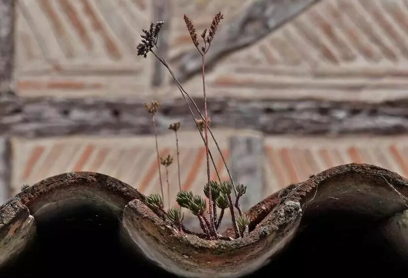 ベッドアンドブレックファースト Plume Et Pinceau