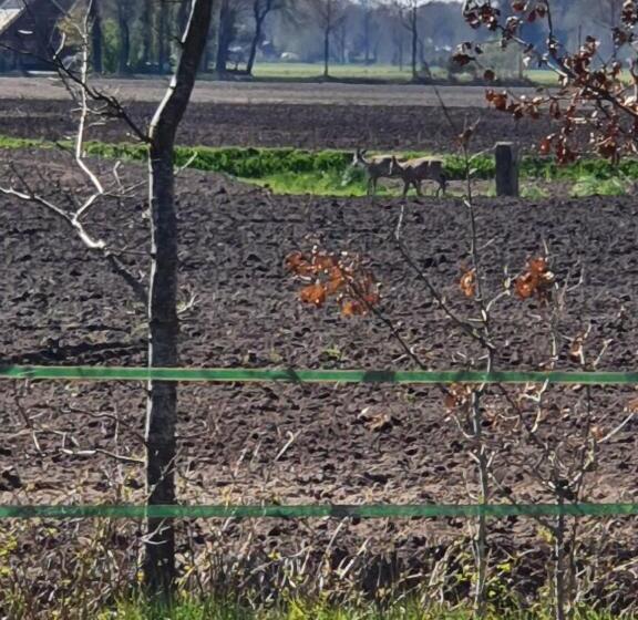 Bed and Breakfast Westert Hoeve