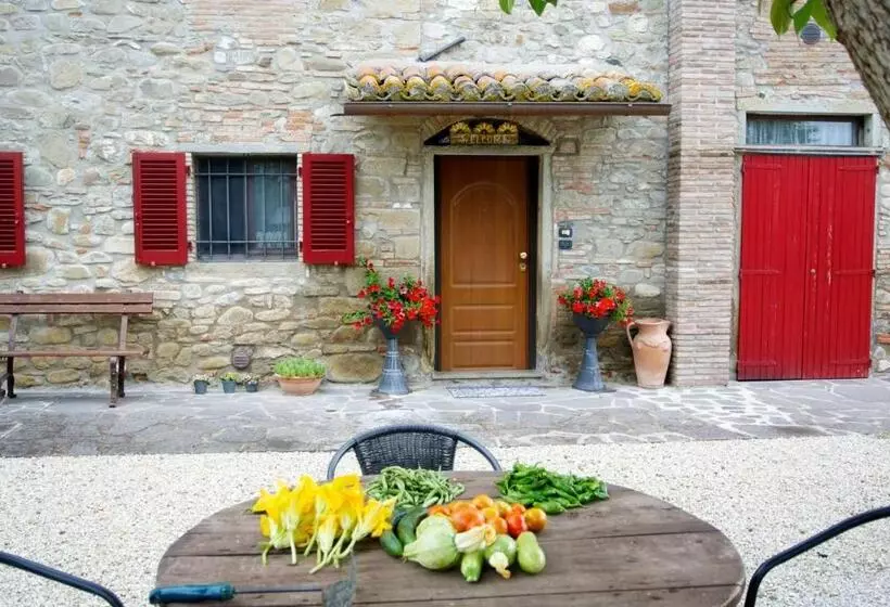 Casa Donella B&b