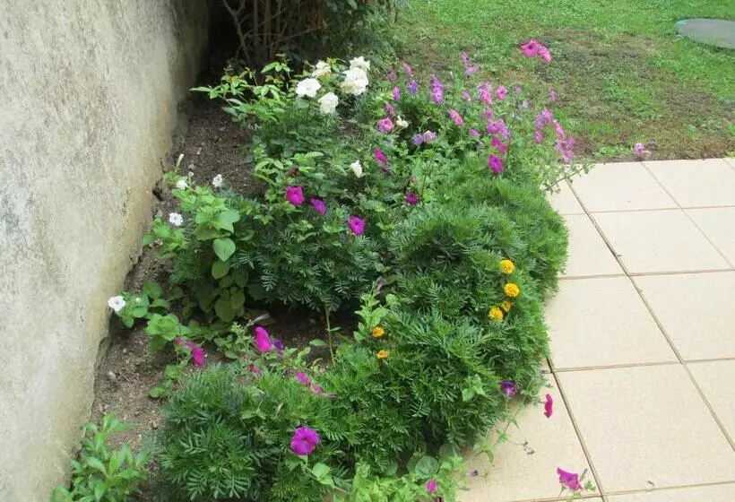 Chambre D Hôtes B&b