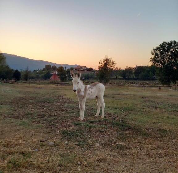 בית מלון כפרי B&b La Coccinella