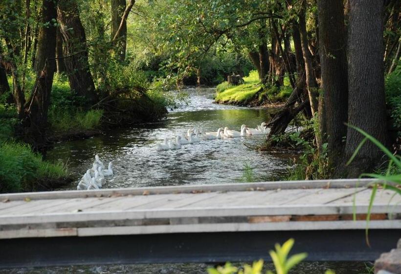 Hotel Biofarma Dolejší Mlýn