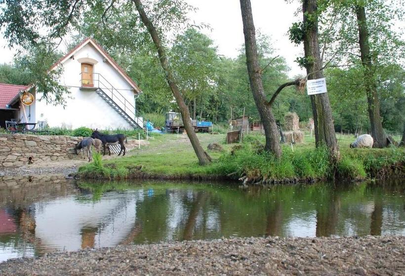 Hotel Biofarma Dolejší Mlýn