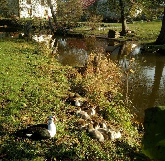 Hotel Biofarma Dolejší Mlýn